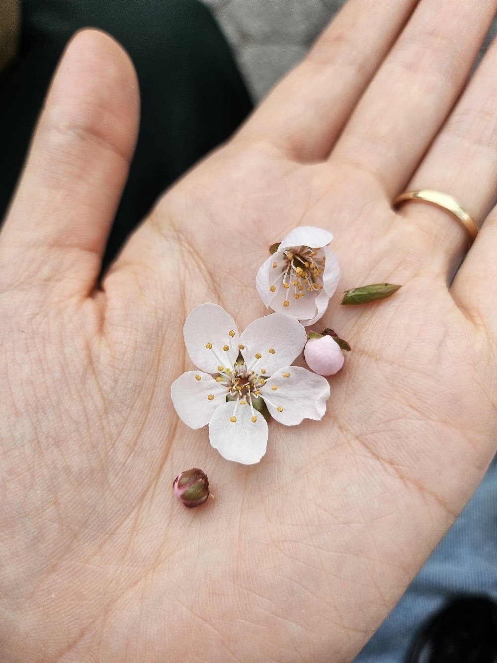 There is Season🌸